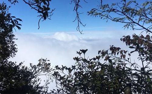 张家界天门山旅游攻略 张家界天门山旅游路线