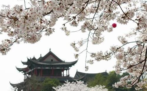 2018武汉大学?；ń谝牌甭?怎么预约流程