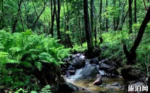 山西避暑哪里好 山西避暑胜地介绍