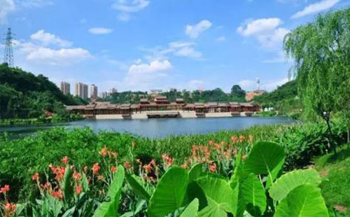 2018重庆有哪些可以避暑的湿地公园