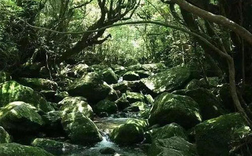 一出好戏的取景地在哪里 一出好戏的小岛可以去旅游吗
