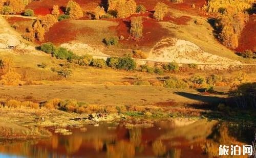 乌兰布统什么时候旅游最好