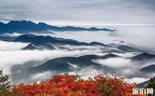 嵩山登山年证办理地点 嵩山登山证办理条件