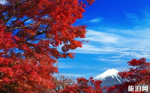 2018喇叭沟门红叶节时间+地点+门票+住宿+交通