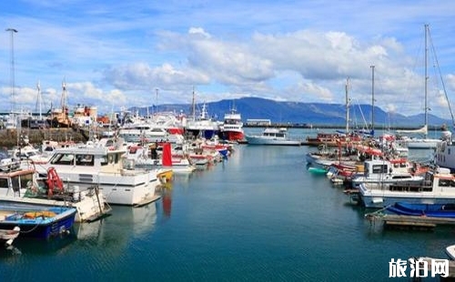 冰岛去哪买东西 冰岛旅游购物攻略