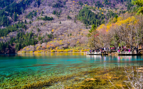 十一月适合去哪里旅游
