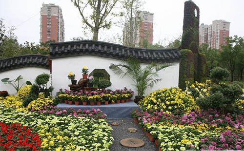 2018唐闸公园菊花展什么时候开始