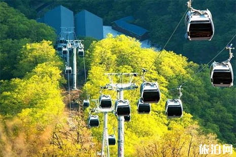 2018王屋山红叶节什么时候举办