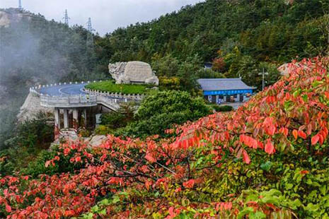 2018青岛崂山门票优惠政策 崂山旅游直通车信息