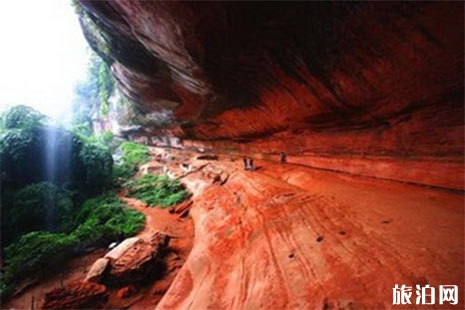 贵州遵义旅游年卡景点待遇