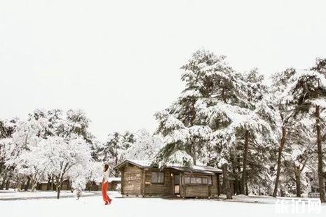 2019轻井泽滑雪攻略