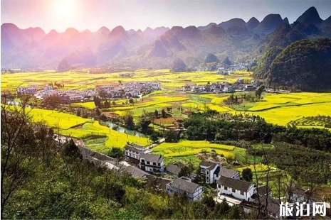 2019贵州油菜花什么时间开+景点在哪里+介绍