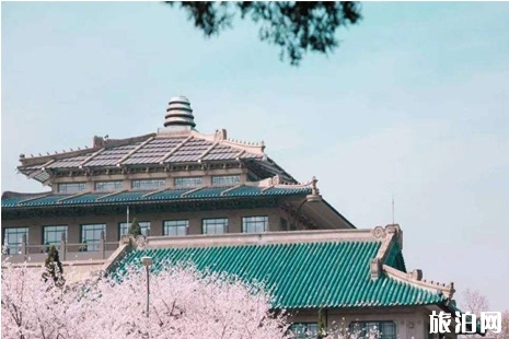2019武大?；寺?武大樱花3月28日至30日全面开放