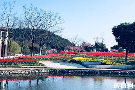 2019东钱湖郁金香花展 门票+时间+地点