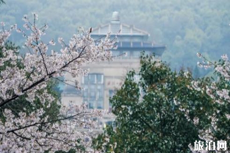 2019武汉赏樱一日游攻略