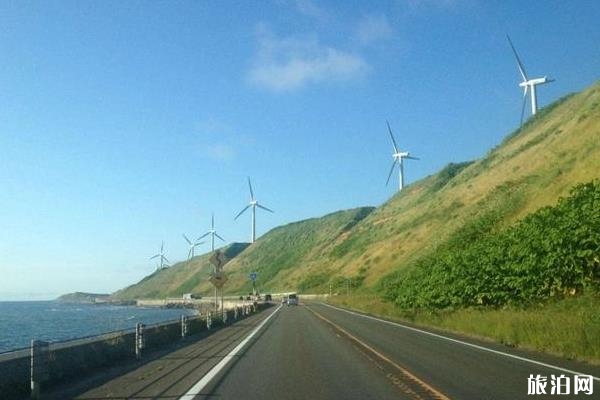 大陆驾照在日本开车吗 北海道租车攻略
