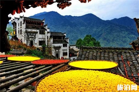2019中高考准考证婺源篁岭景区优惠信息
