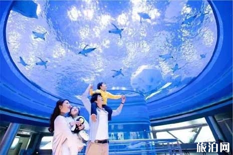 2019高考生旅游优惠政策杭州周边景点哪些有优惠