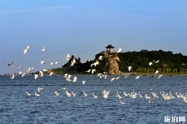 2019中高考准考证秦皇岛景区优惠信息汇总