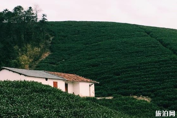 莫干山最佳旅行时间 莫干山四季面貌