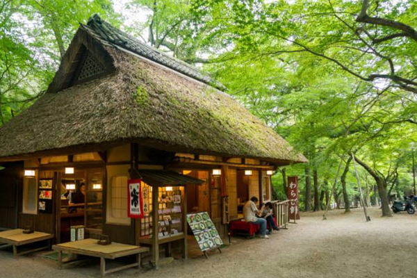 日本自由行攻略 如何玩转奈良