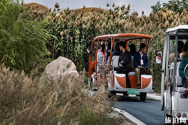 张掖湿地公园观光车+自行车收费