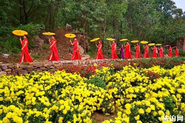2019秦王湖菊花节活动攻略