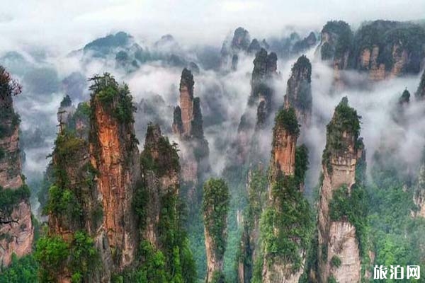 天子山景区