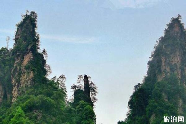 张家界十里画廊景区