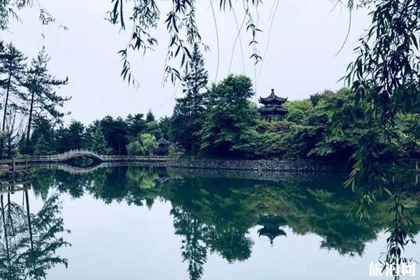 2020温州旅游攻略必去景点推荐