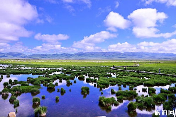 若尔盖花湖风景区