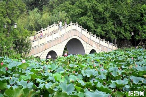宜宾天池公园