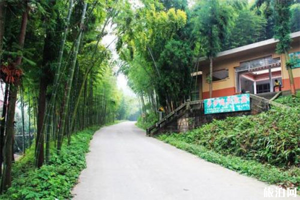 大竹五峰山国家森林公园