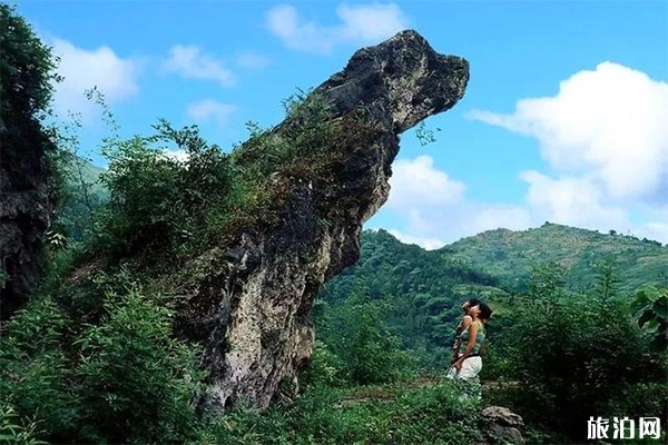 渠县賨人谷风景区