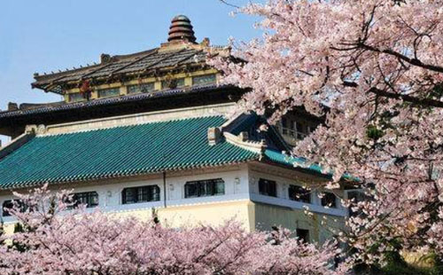 2020武大樱花云直播开始时间 附观赏指南