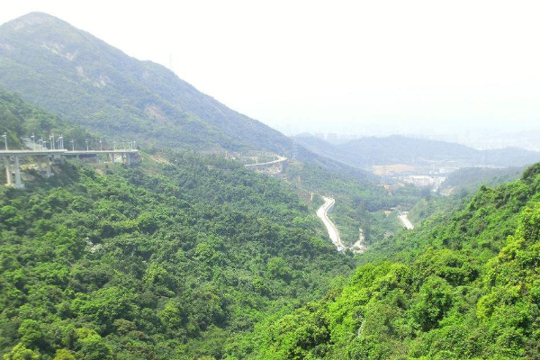马峦山郊野公园