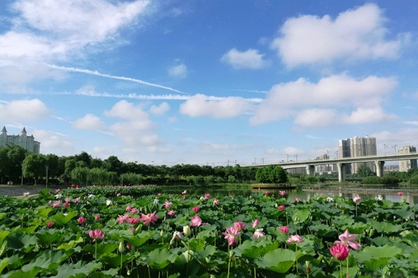 槐荫公园