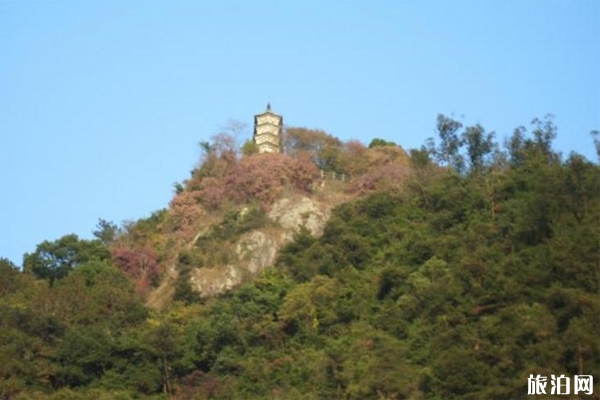 乐清东塔公园