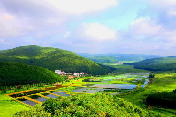 铁西森林公园