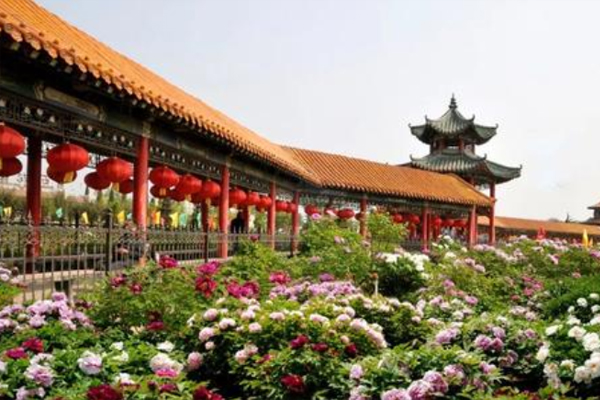 曹州百花园