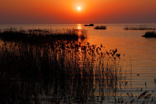 骆马湖湿地