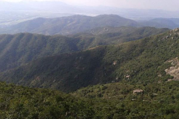 黄杨山