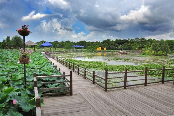 南沙湿地公园