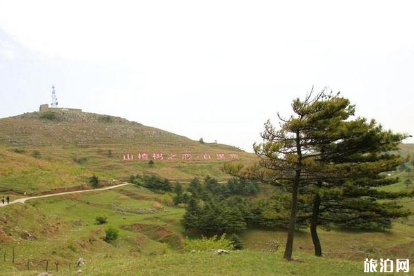 百里荒高山草原旅游区