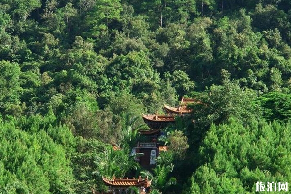 小黑江森林公园