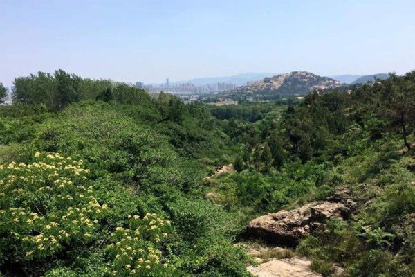 锦屏山