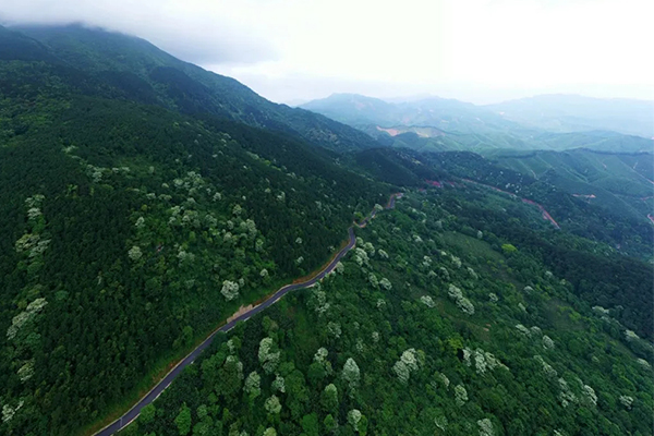 平天山国家森林公园