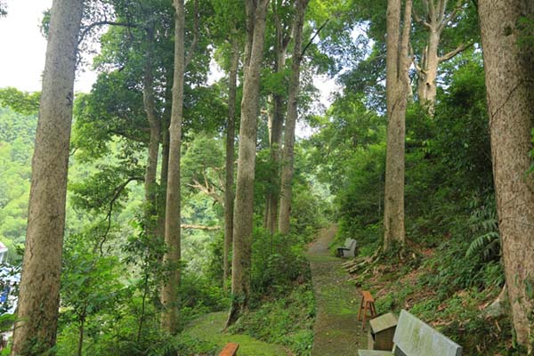 鹰潭西湖湿地公园