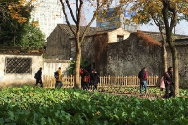 百草园