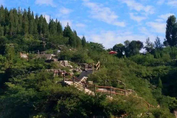 中国龙隐